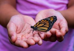 Girl in-purple-holding-monarch-butterfly-Bellagio-Gardens-Las-Vegas