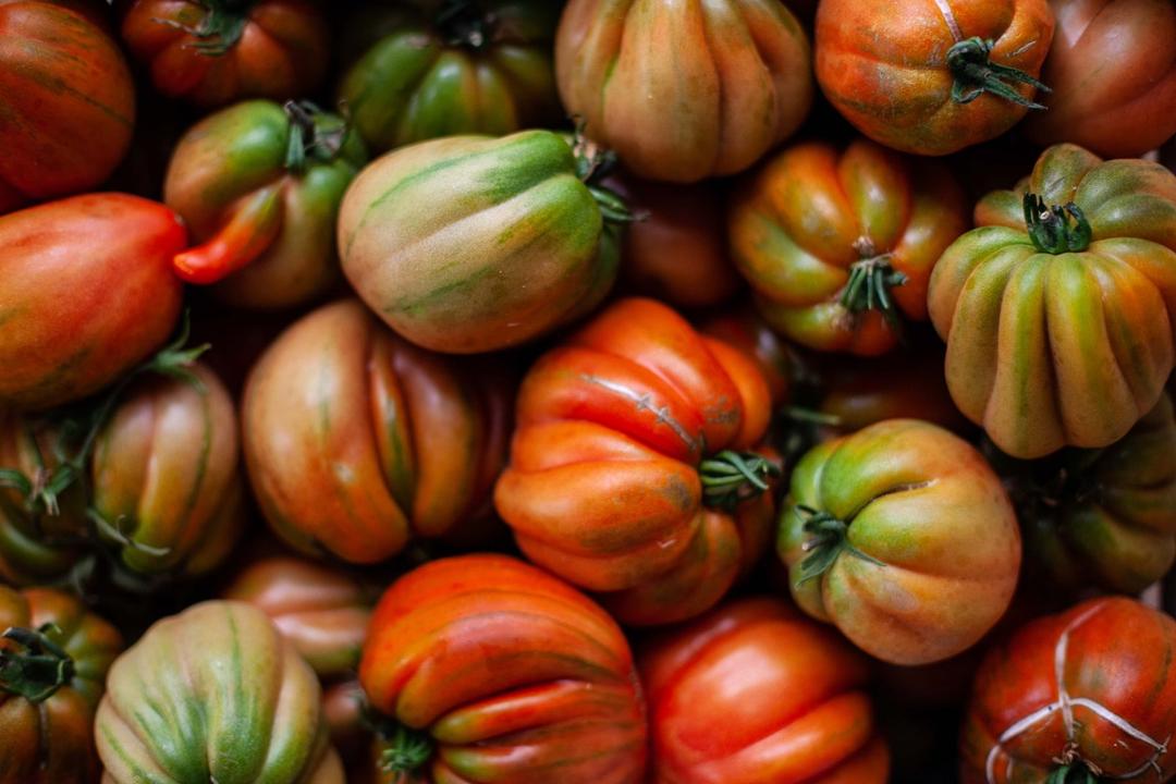 Salinas The-Farm-Tomatoes