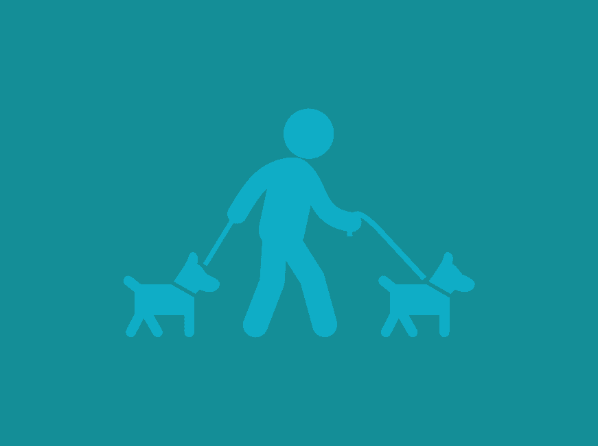 Illustration of a person walking two dogs